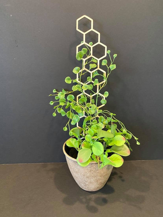 17'' Skinny | Plant Trellis | FAST SHIPPING | Honeycomb Houseplant Trellis | Indoor Garden Trellis | Plant Lover Gift | Insured Shipping