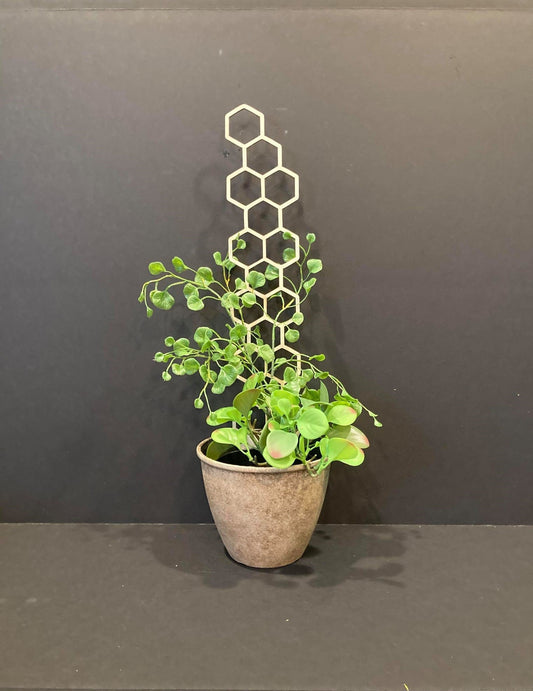 17'' Skinny | Plant Trellis | FAST SHIPPING | Honeycomb Houseplant Trellis | Indoor Garden Trellis | Plant Lover Gift | Insured Shipping