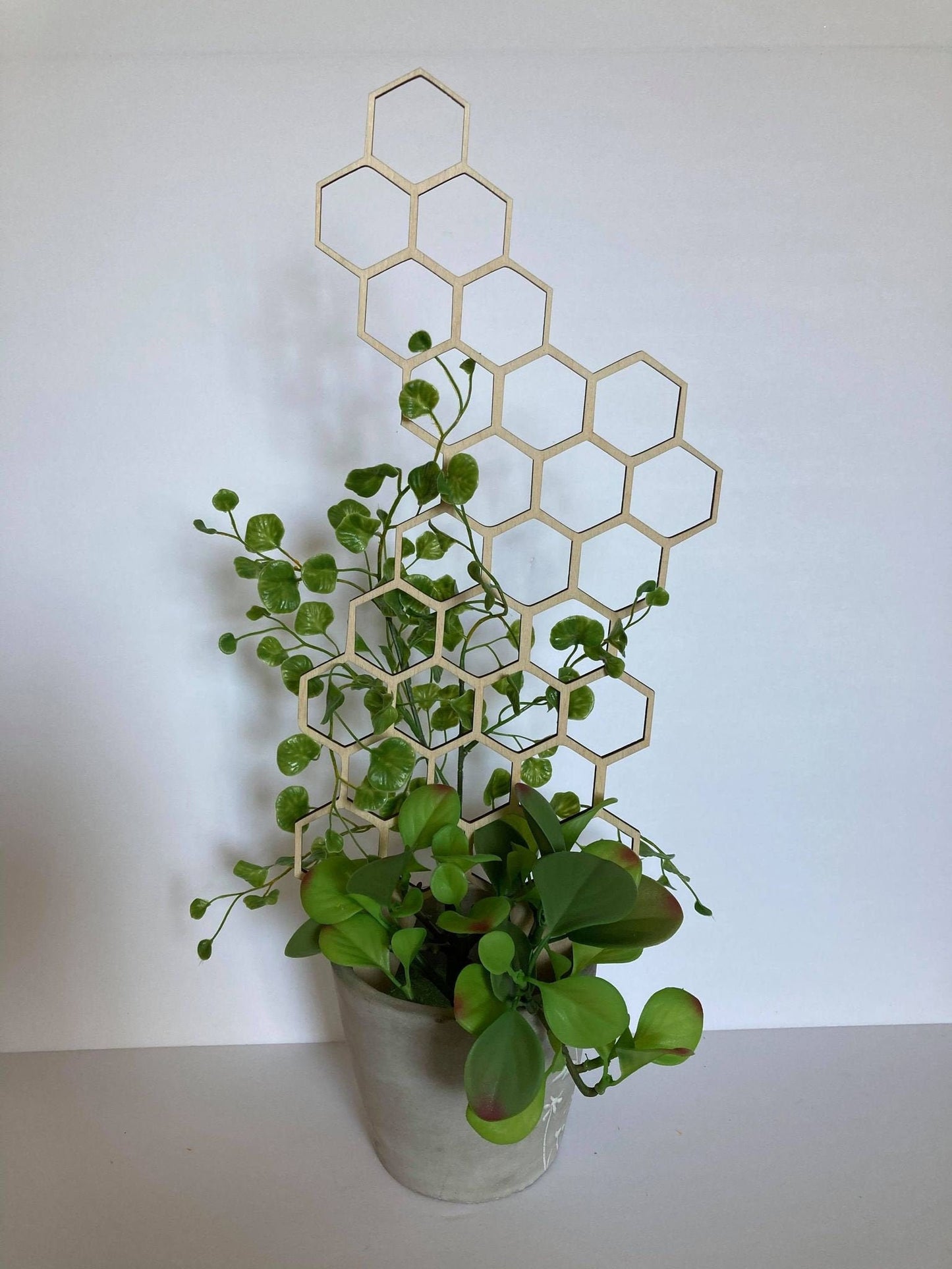 17'' 7'' 10'' | Plant Trellis | Stain Finish | Clearcoat Honeycomb | Houseplant Trellis | Indoor Garden Trellis | Insured Shipping