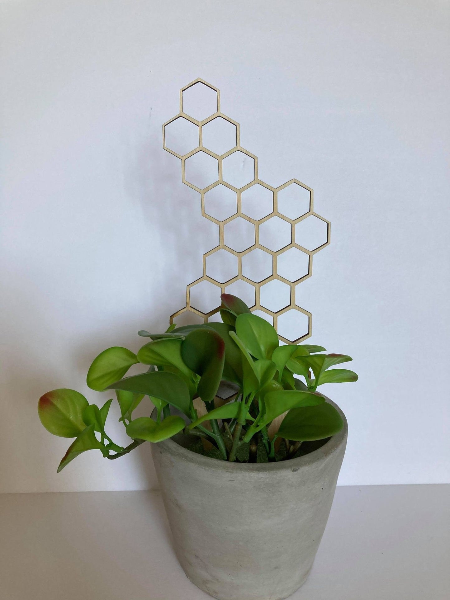 17'' 7'' 10'' | Plant Trellis | Stain Finish | Clearcoat Honeycomb | Houseplant Trellis | Indoor Garden Trellis | Insured Shipping