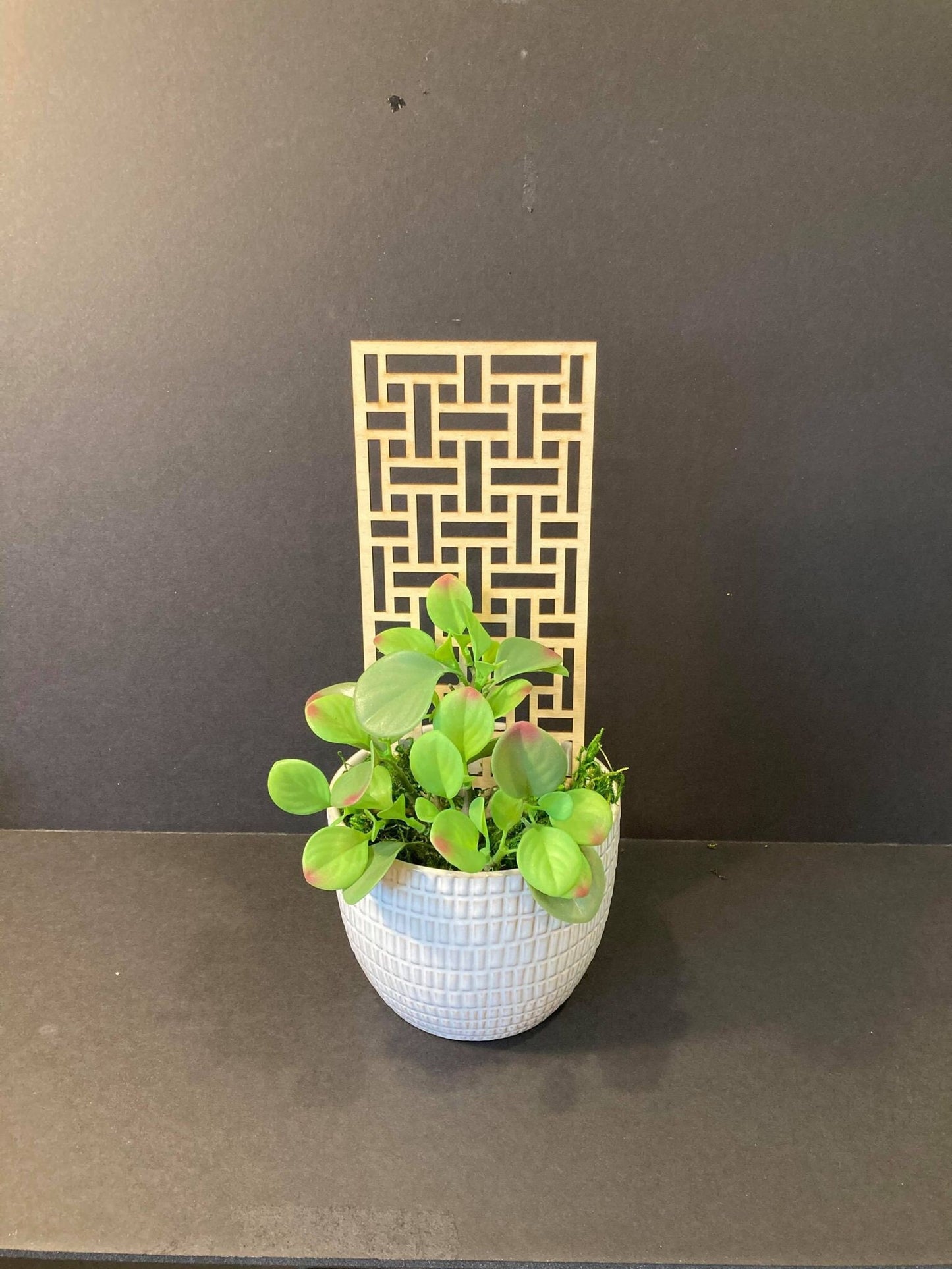 Rectangle Beautiful Trellis | 1/4 Thick | Plant Trellis | FAST SHIPPING | Houseplant Trellis | | Plant Lover Gift | Insured Shipping