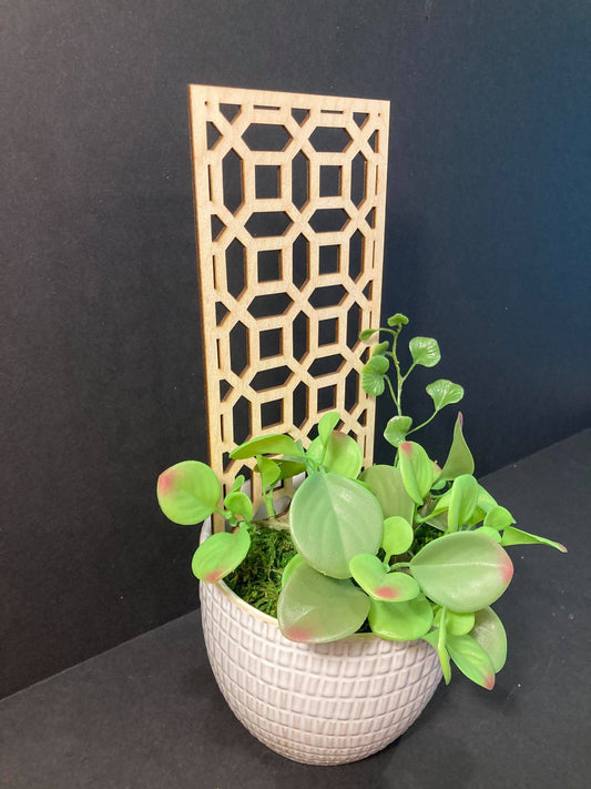 Square Octagon | 1/4 Thick | Support Beautiful Trellis | Plant Trellis | FAST SHIPPING | Houseplant Trellis | | Insured Shipping