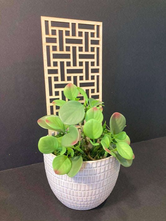 Rectangle Beautiful Trellis | 1/4 Thick | Plant Trellis | FAST SHIPPING | Houseplant Trellis | | Plant Lover Gift | Insured Shipping