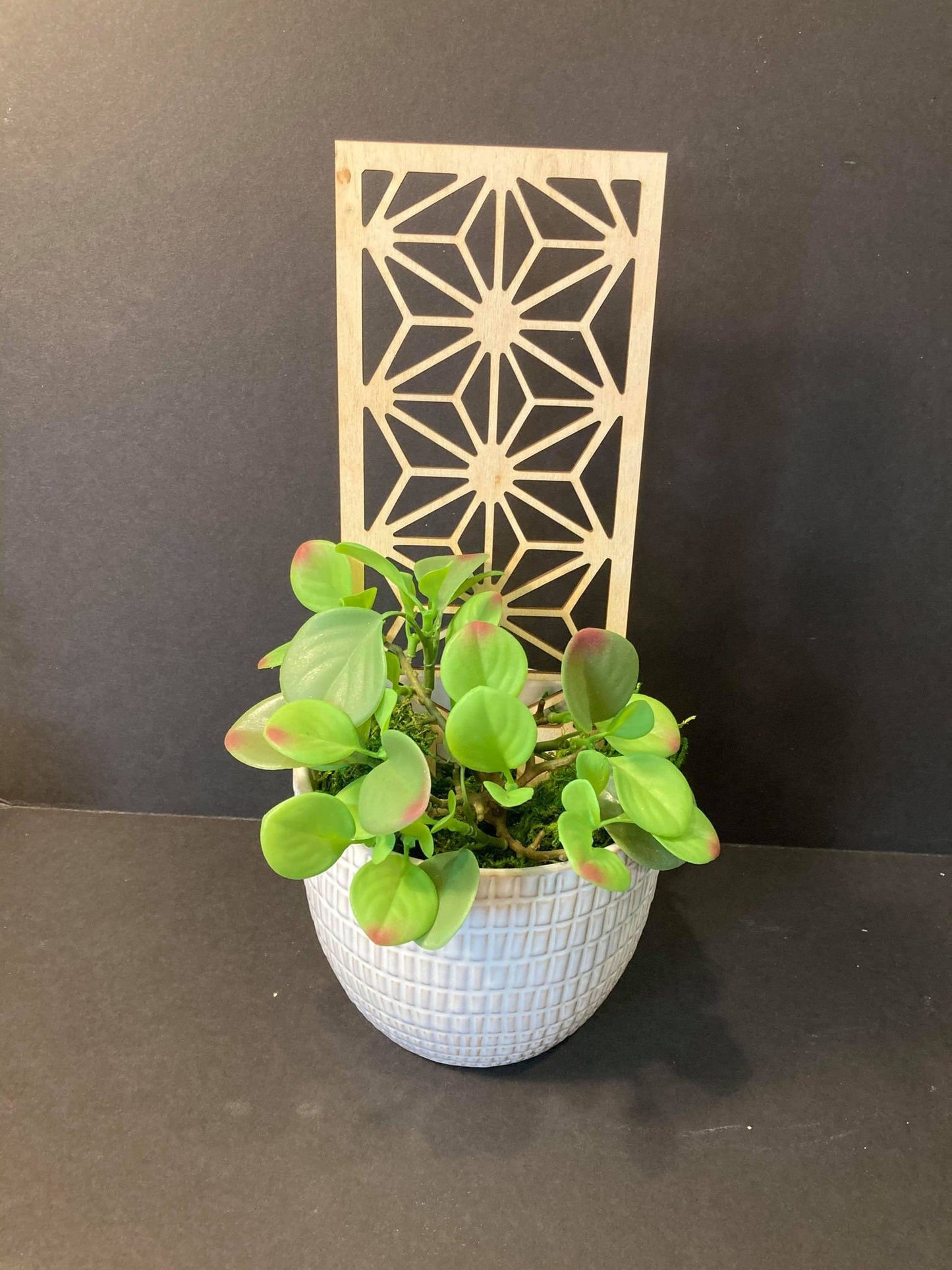 Star Geo Trellis | Beautiful Trellis | 1/8 Thick | Plant Trellis | FAST SHIPPING | Houseplant | | Plant Lover Gift | Insured Shipping