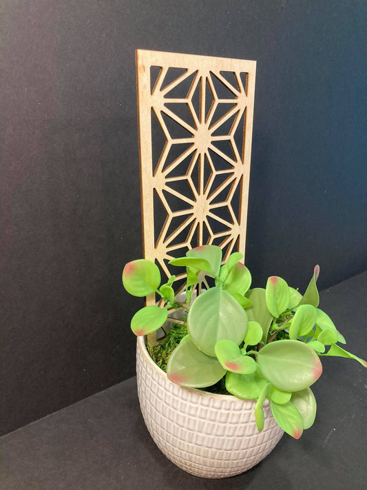 Star Geo Trellis | Beautiful Trellis | 1/8 Thick | Plant Trellis | FAST SHIPPING | Houseplant | | Plant Lover Gift | Insured Shipping