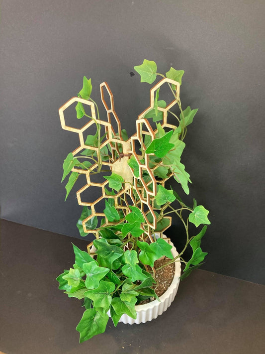 3D Plant Trellis | FAST SHIPPING | Honeycomb Houseplant Trellis | Indoor Garden Trellis | Plant Lover Gift | Insured Shipping