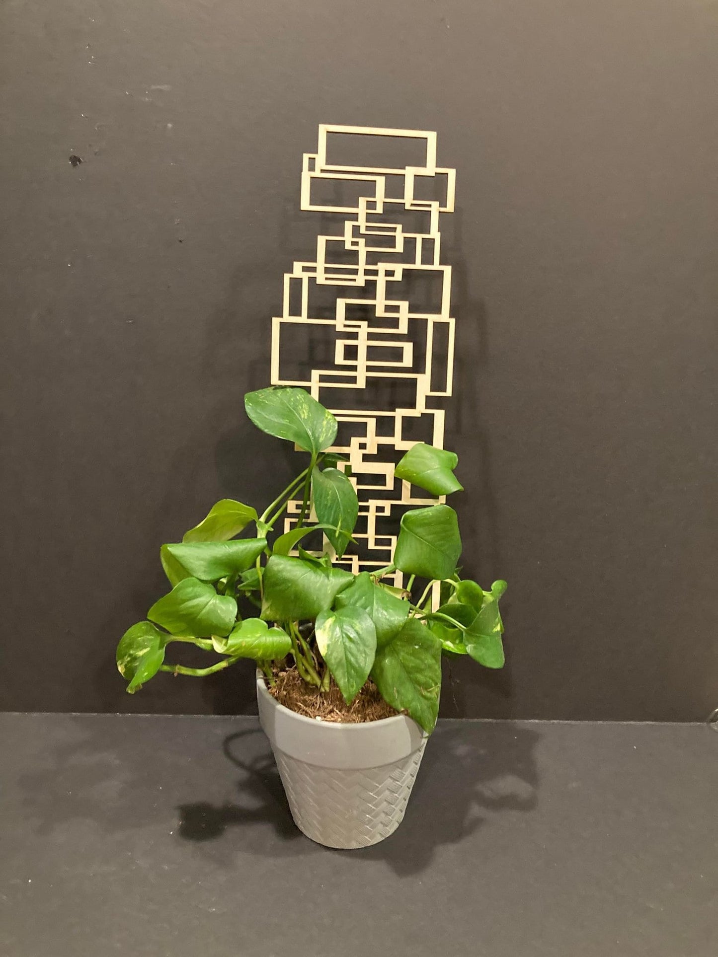 Scattered Square trellis | Plant Trellis | Stain Finish | Clearcoat Honeycomb | Houseplant Trellis | Indoor Garden Trellis