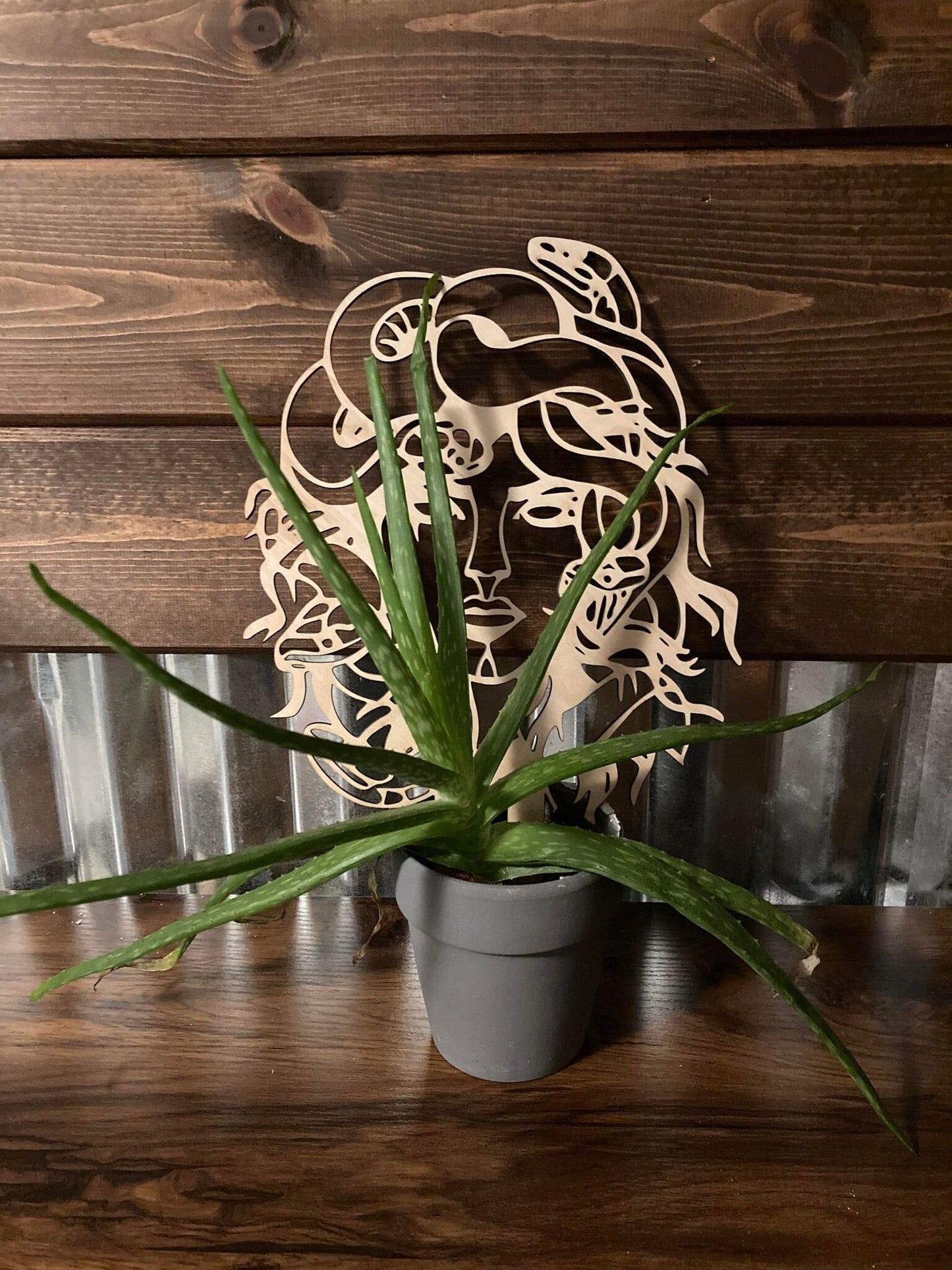 Medusa Snake Trellis | Plant Trellis | Houseplant Trellis | Indoor Garden Trellis | Insured Shipping
