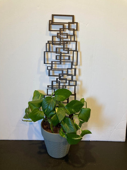Scattered Square trellis | Plant Trellis | Stain Finish | Clearcoat Honeycomb | Houseplant Trellis | Indoor Garden Trellis