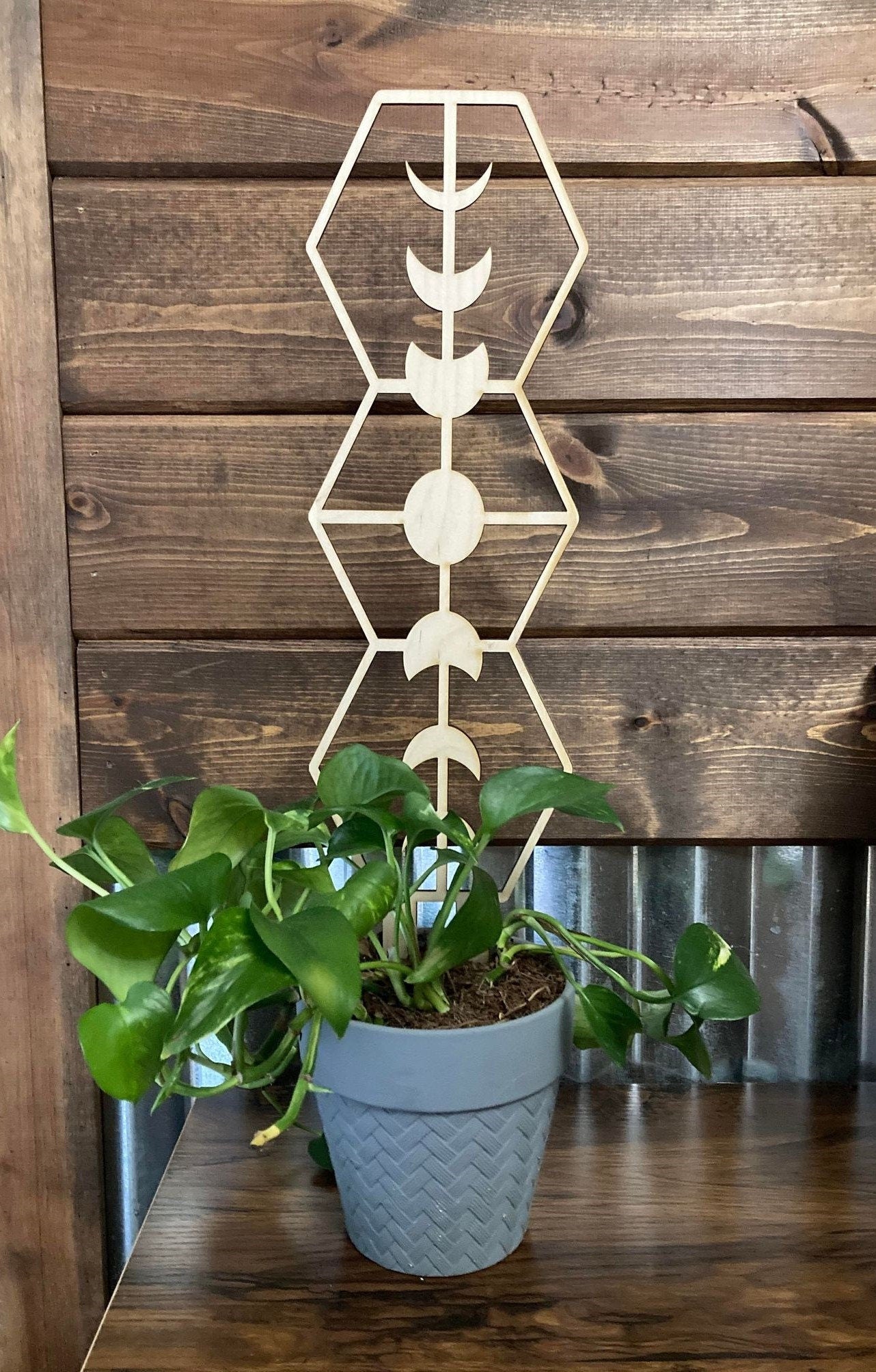 Moon Phase Trellis | Plant Trellis | Stain Finish | Clearcoat Honeycomb | Houseplant Trellis | Indoor Garden Trellis | Insured Shipping