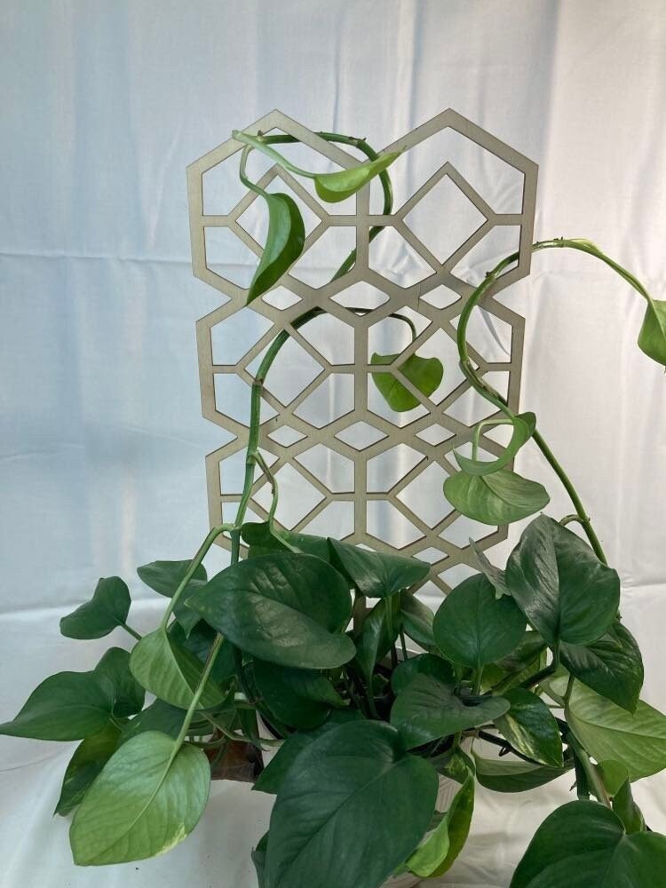 Geo Diamond Trellis | Pick your Size | Plant Trellis | Stain Finish | Houseplant Trellis | Indoor Garden Trellis | Insured Shipping