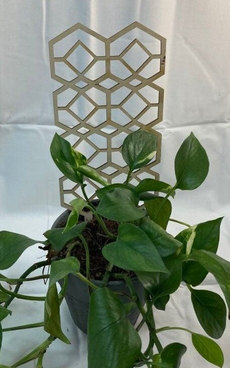 Geo Diamond Trellis | Pick your Size | Plant Trellis | Stain Finish | Houseplant Trellis | Indoor Garden Trellis | Insured Shipping
