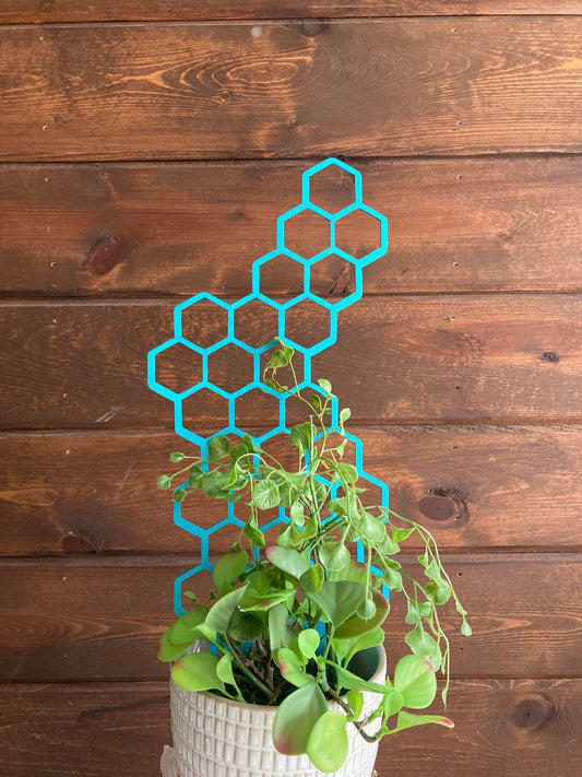 17'' 7'' 10'' | Plant Trellis | Stain Finish | Clearcoat Honeycomb | Houseplant Trellis | Indoor Garden Trellis | Insured Shipping