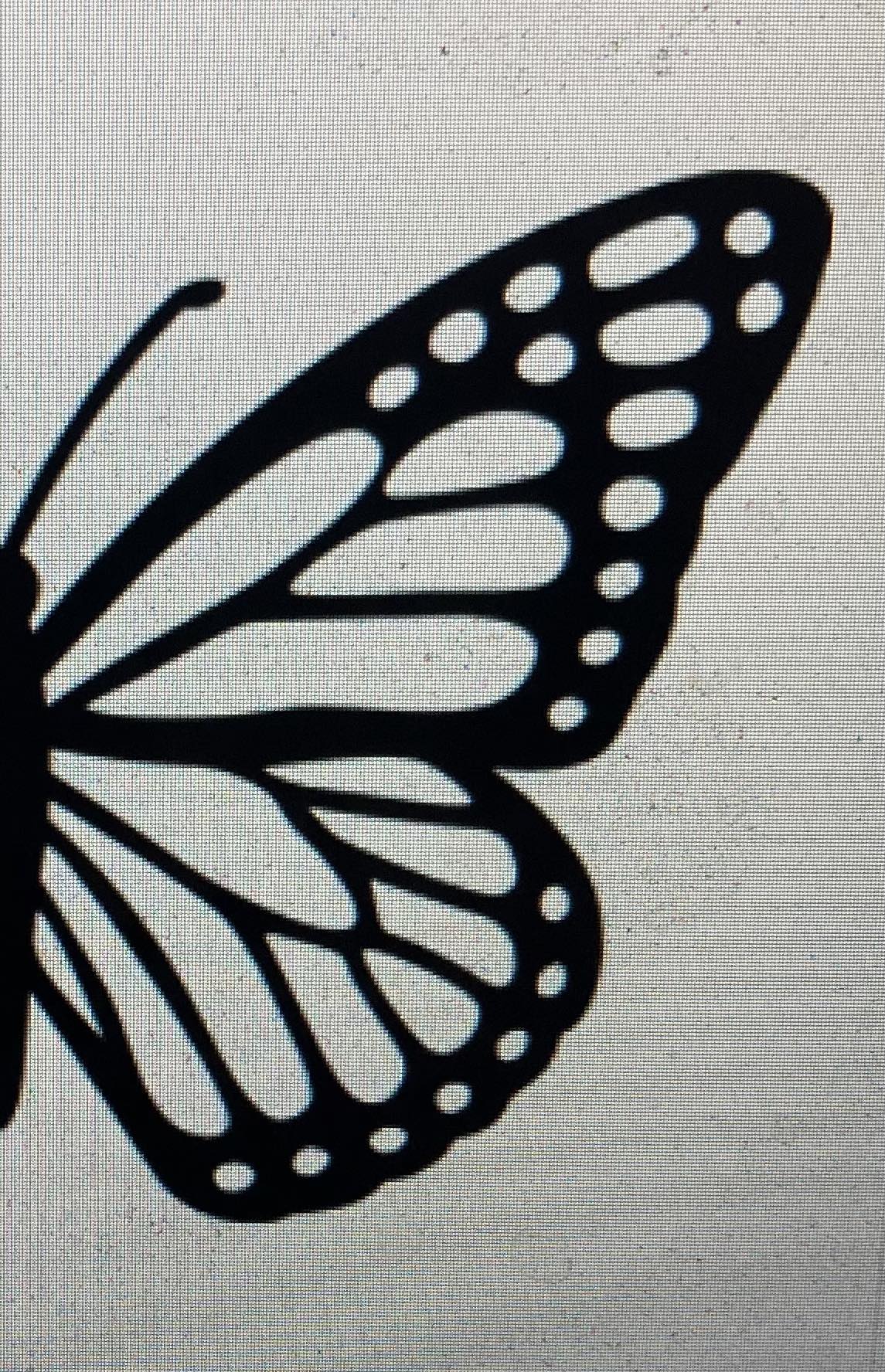 a black and white picture of a butterfly