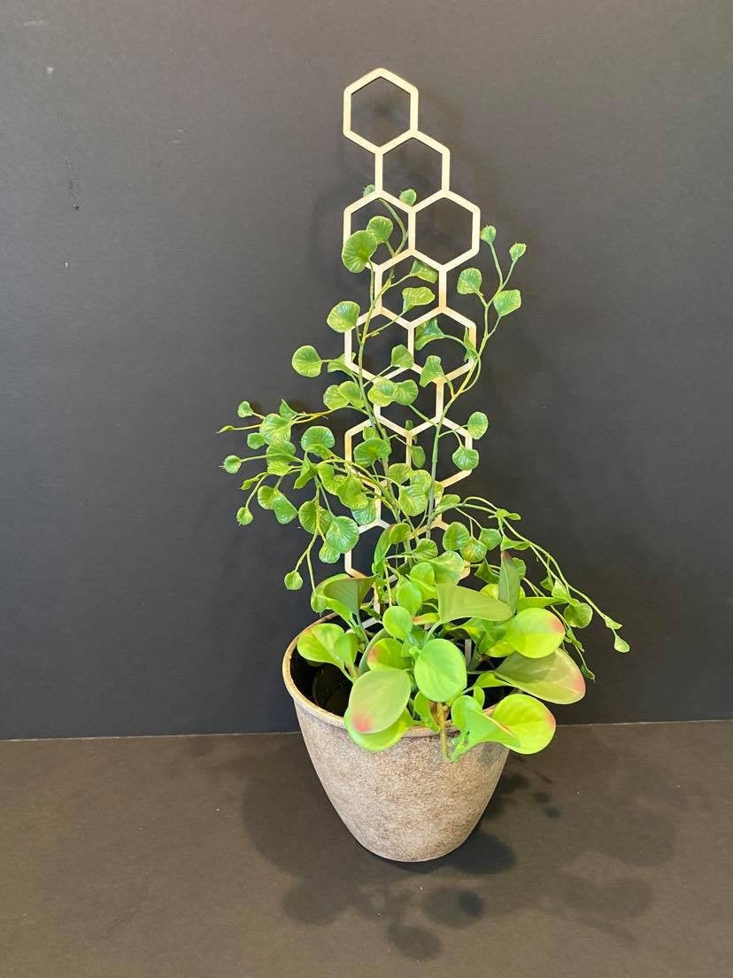 17'' Skinny  | Plant Trellis | FAST SHIPPING | Honeycomb Houseplant Trellis | Indoor Garden Trellis | Plant Lover Gift | Insured Shipping