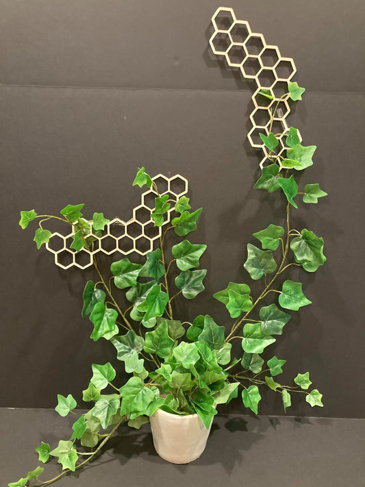 Wall Plant Trellis | FAST SHIPPING | Honeycomb Houseplant Trellis | Indoor Garden Trellis | Plant Lover Gift | Plant Accessory