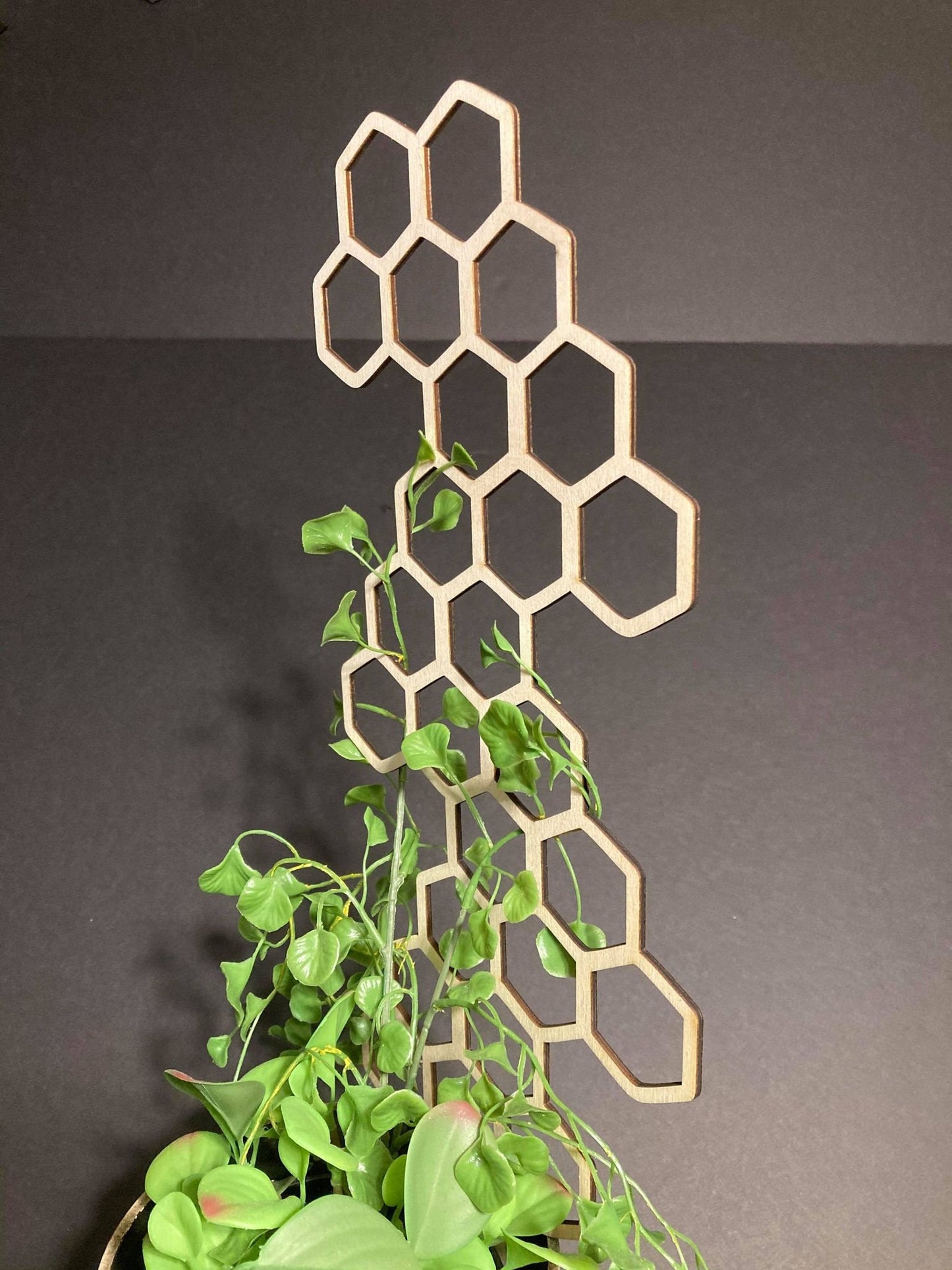 Zig Zag | 1/8 Thickness | Plant Trellis | FAST SHIPPING | Honeycomb Houseplant Trellis | Plant Lover Gift | Insured Shipping