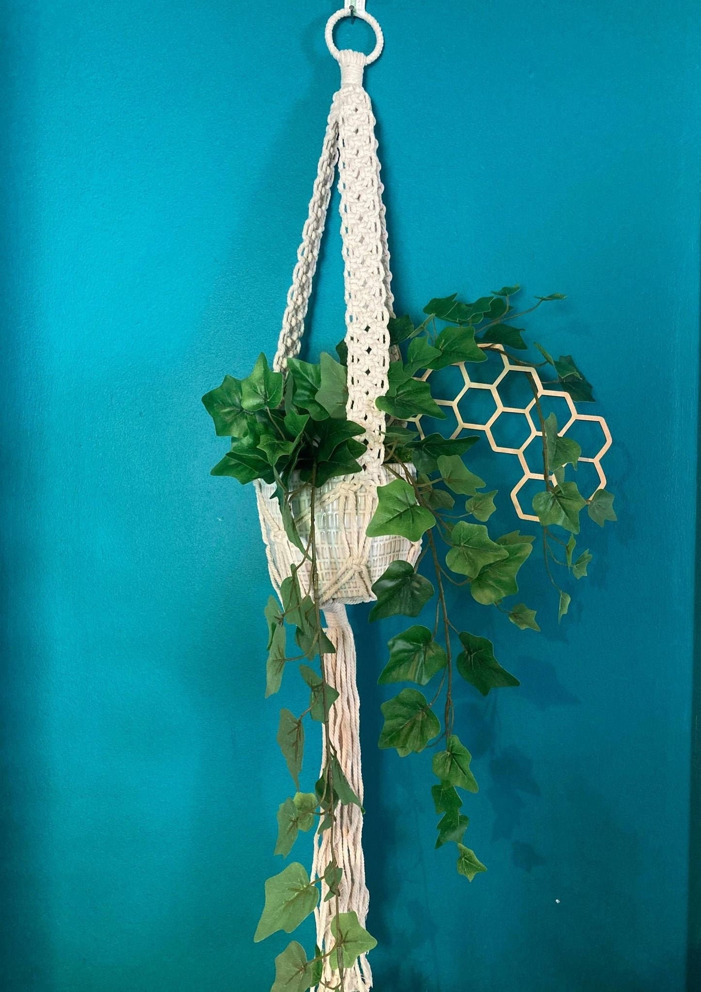 Hanging Plant Trellis | FAST SHIPPING | Honeycomb Houseplant Trellis | Indoor Garden Trellis | Plant Lover Gift | Insured Shipping