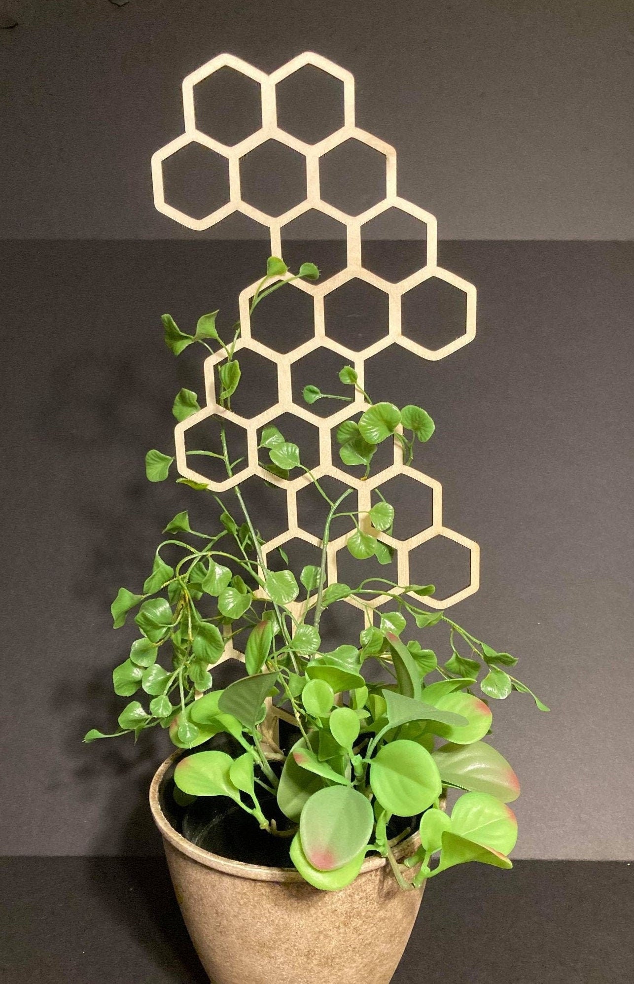 Zig Zag | 1/8 Thickness | Plant Trellis | FAST SHIPPING | Honeycomb Houseplant Trellis | Plant Lover Gift | Insured Shipping