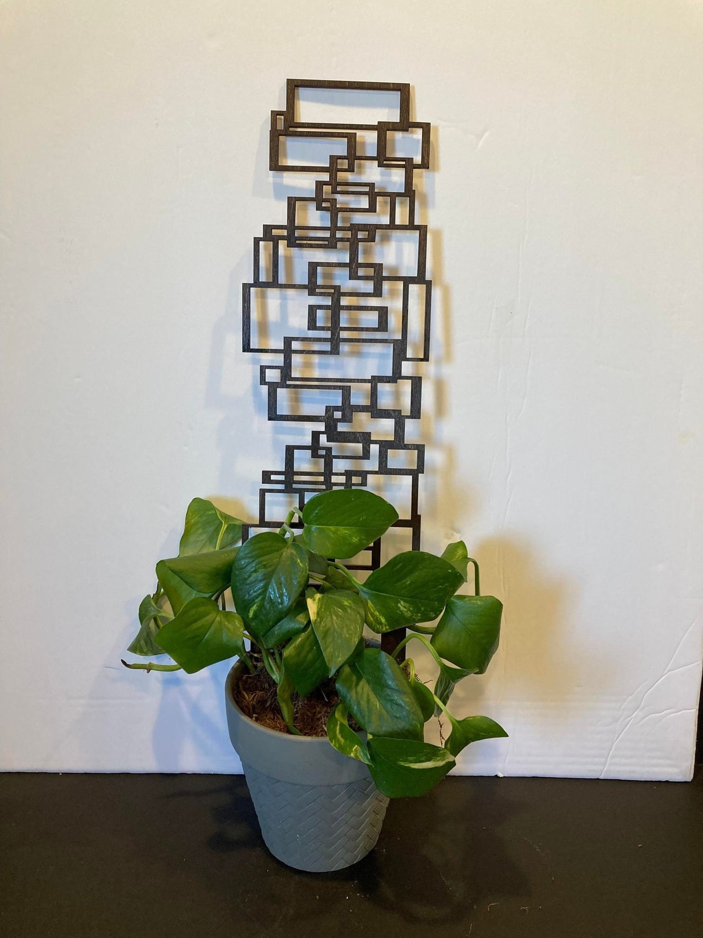 Scattered Square trellis  | Plant Trellis | Stain Finish | Clearcoat Honeycomb | Houseplant Trellis | Indoor Garden Trellis