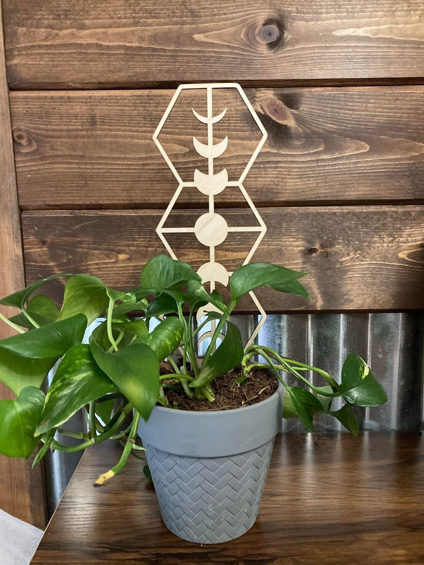 Moon Phase Trellis | Plant Trellis | Stain Finish | Clearcoat Honeycomb | Houseplant Trellis | Indoor Garden Trellis  | Insured Shipping