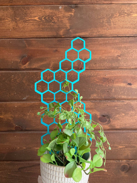 17'' 7'' 10''  | Plant Trellis | Stain Finish | Clearcoat Honeycomb | Houseplant Trellis | Indoor Garden Trellis  | Insured Shipping